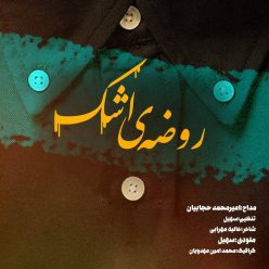دانلود آهنگ امیر محمد حجابیان روضه ی اشک با کیفیت 320
